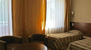 Гостиница СПА Отель Аквамарин Зеленогорск Стандартный двухместный номер с 1 кроватью или 2 отдельными кроватями-6